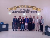 VEREADORES DA CAMARA MUNICIPAL DE PEDRA BRANCA DO AMAPARI